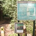 Highgate Wood and Queen's Wood