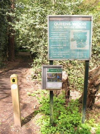Highgate Wood and Queen's Wood Highgate Wood and Queen's Wood
