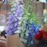 Columbia Road Flower Market