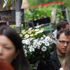 Columbia Road Flower Market