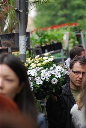 Columbia Road Flower Market