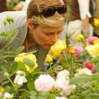 RHS Chelsea Flower Show