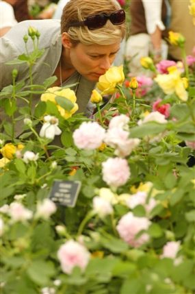 RHS Chelsea Flower Show - Photo by Jon Enoch/RHS