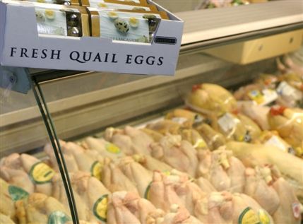Wyndham House Poultry
