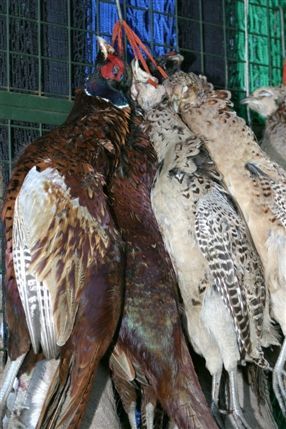 Borough Market