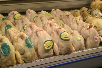 Wyndham House Poultry