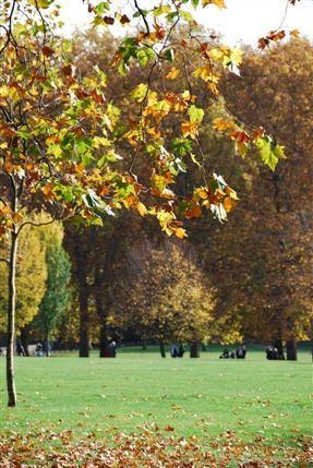 Green Park Green Park