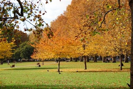 St James's Park