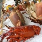 The Fish Shop