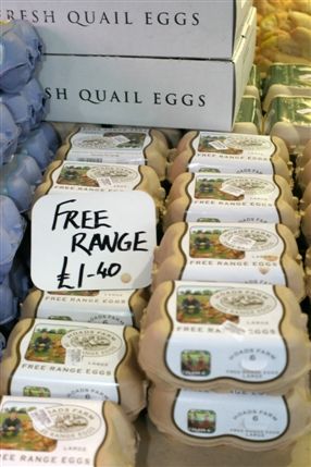 Wyndham House Poultry