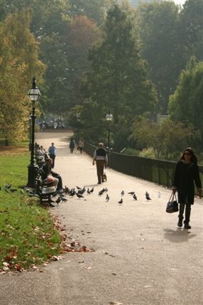 Cheval Place