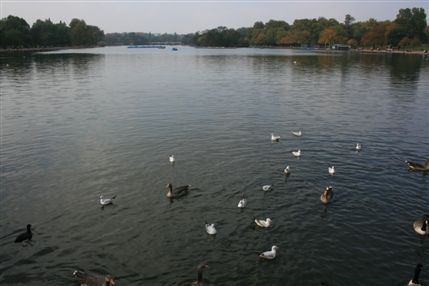 Serpentine Boating Lake