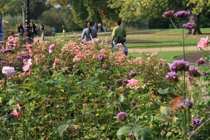 Hyde Park