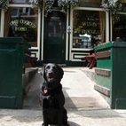 The Anglesea Arms