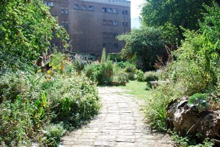 Phoenix Garden