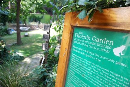 Phoenix Garden