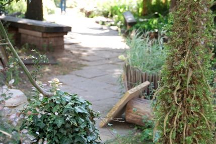 Phoenix Garden