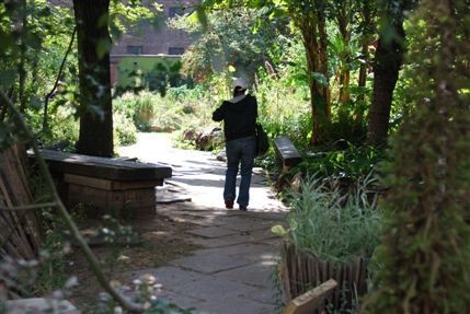 Phoenix Garden