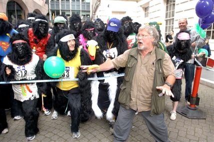 Great Gorilla Run Great Gorilla Run