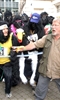 Great Gorilla Run photo