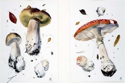 Shirley Sherwood Gallery