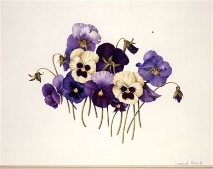 Shirley Sherwood Gallery