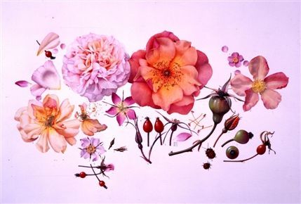 Shirley Sherwood Gallery