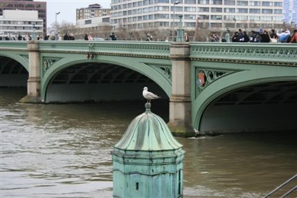 Westminster Bridge