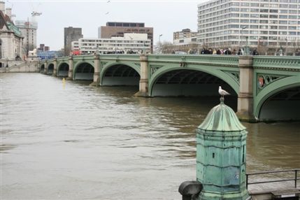 Westminster Bridge