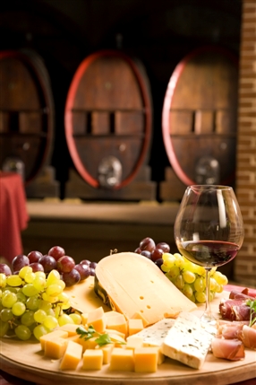 Cheese and Wine Festival Cheese and Wine Festival
