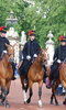 Summer Opening of the State Rooms at Buckingham Palace Summer Opening of the State Rooms at Buckingham Palace