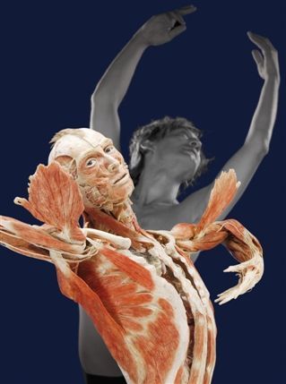 BODY WORLDS & The Mirror of Time
