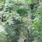 Abney Park Cemetery & Nature Reserve hotels title=