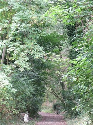 Abney Park Cemetery & Nature Reserve