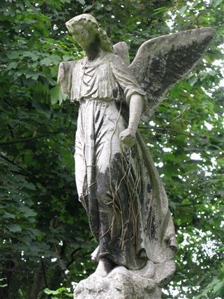 Abney Park Cemetery & Nature Reserve