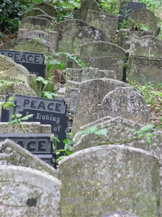 Abney Park Cemetery & Nature Reserve