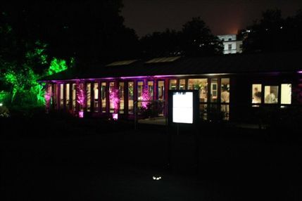 The Terrace In The Fields