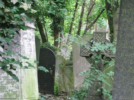 Abney Park Cemetery & Nature Reserve