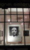 Signal Gallery photo