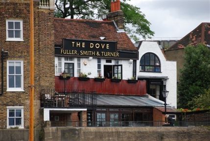 The Dove The Dove