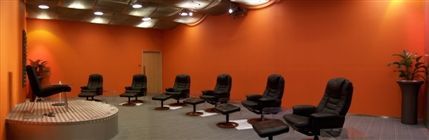 Metal/Wellness Zone