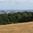 Hampstead Heath