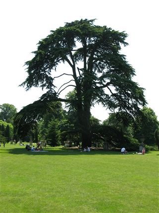 Chiswick House