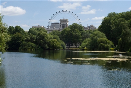 St James's Park - View from the lake - © Anne Marie Briscombe