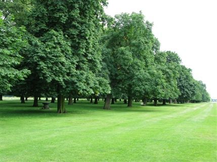 Bushy Park