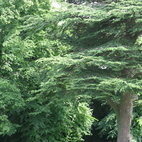 Strawberry Hill House hotels title=