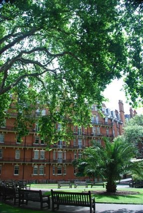 Mount Street Gardens Mount Street Gardens