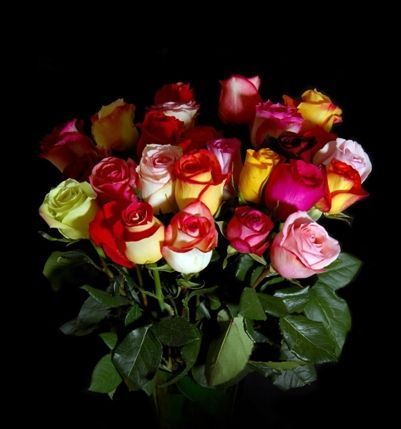 Only Roses