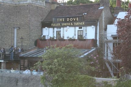 The Dove The Dove