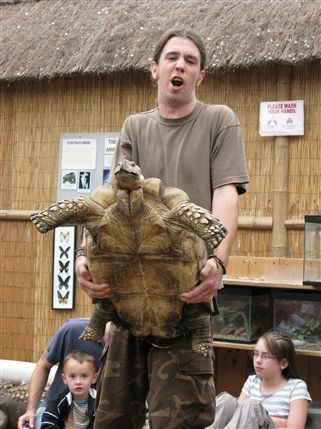 The Tropical Zoo